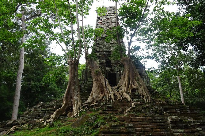 1-Day Angkor Wat Sunrise & All Interesting Temples Private Tour - Terrace of the Elephants and the Leper King: Morbid Names, Fascinating Art