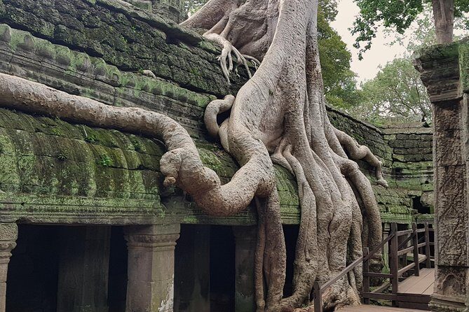 1day Private tour, Angkor sunrise,all main temples, Banteay srei - Angkor Thom and Bayon Temple ruins