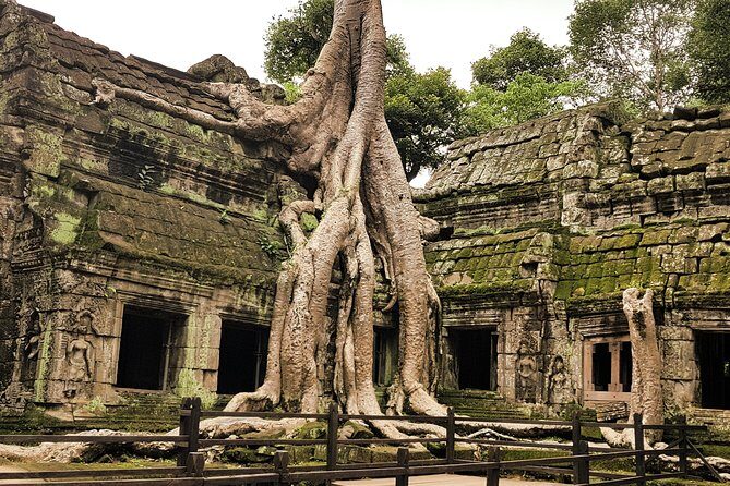 2-Days Private Tour in Angkor Sunrise, Banteay Srei and Beng Mealea Temple - Your guide is the difference-maker here