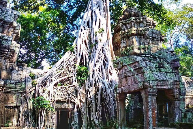 3-Day Tour(Unforgettable Angkor Temple Complex, Banteay Srei& Floating Village) - Day 1: Ta Prohm to the terraces of Angkor Thom