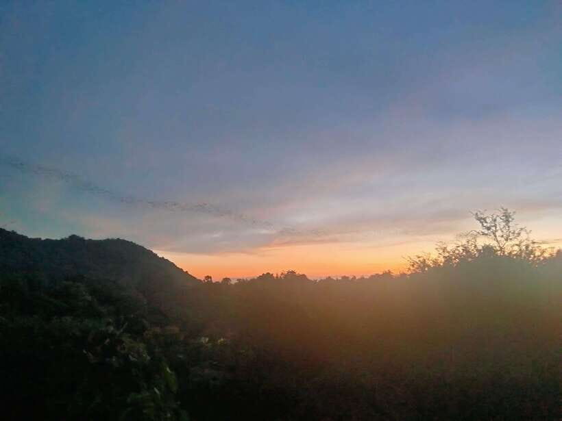 Afternoon Tour: Bamboo Train, Killing Cave &Bat Cave - Phnom Sampov hilltop: where the day turns serious and beautiful