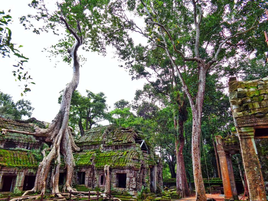 Angkor Region: 3-day Private Tour of Top Temples - Day Three: sunrise at Angkor Wat, Banteay Srey, and village stops