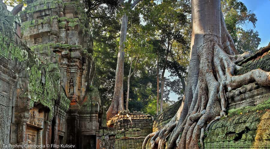 Angkor Region: 3-day Private Tour of Top Temples - How the guide turns stones into stories (and better photos)
