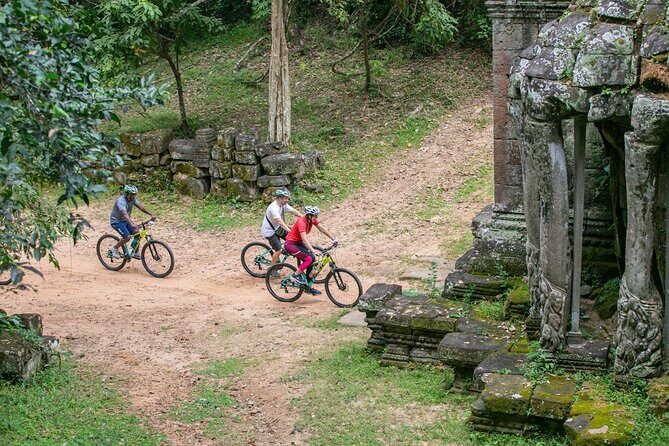 Angkor Sunrise Bike Tour / E-Bike or Tuk Tuk - Ta Prohm and the jungle vines: where the bike turns into a photo walk
