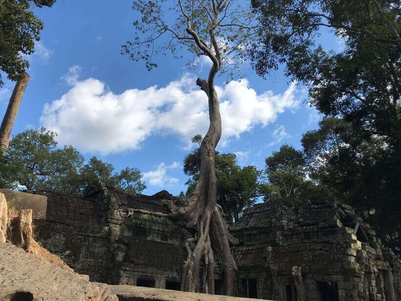 Angkor Temples Highlights Tour: 2 Days with Sunrise - The real cost of this tour: $39 plus the temple pass