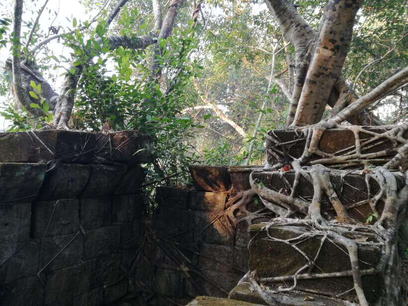 Angkor Temples Highlights Tour: 2 Days with Sunrise - Who this tour fits best