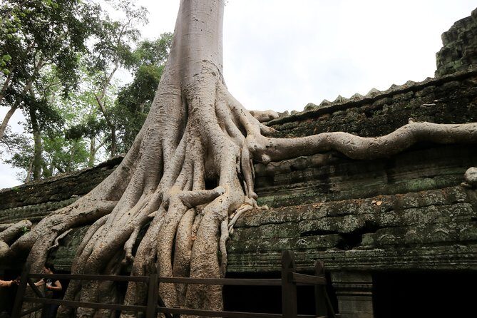 Angkor Temples Private Full-Day Tour from Siem Reap (Free Child) - The day’s game plan: 9 hours, six major stops