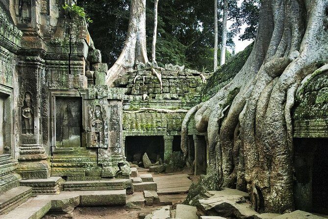 Angkor Wat, Angkor Thom Ancient Capital, Ta Promh Temple - How the private Angkor day tour actually plays out