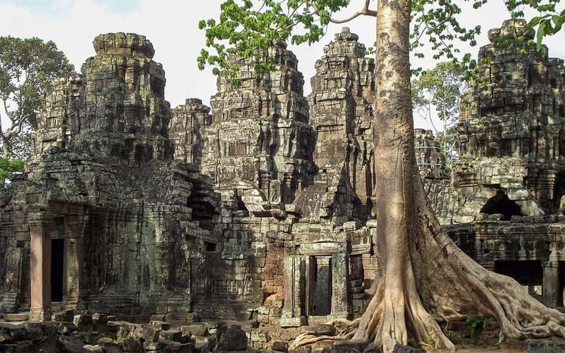 Angkor Wat: Full-Day Guided Sunset Tour - Ta Prohm: the fig trees that make you look up