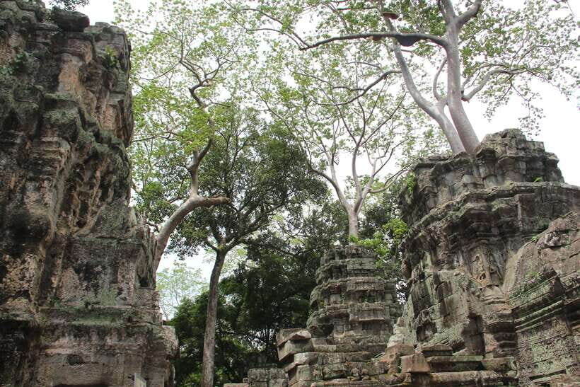 Angkor Wat Full-Day Private Tour with Sunset - Guide and Driver: The Difference Between Seeing and Understanding