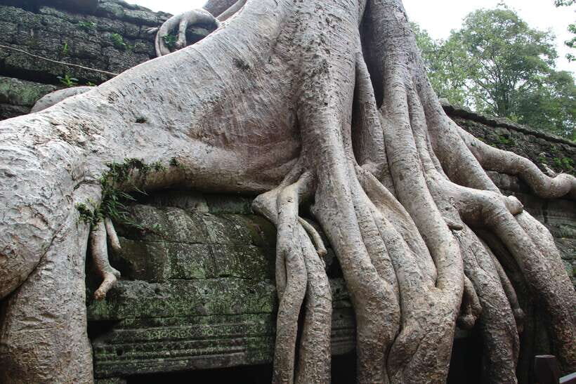 Angkor Wat Full-Day Private Tour with Sunset - What to Wear and Bring for a Temple-Ready Day