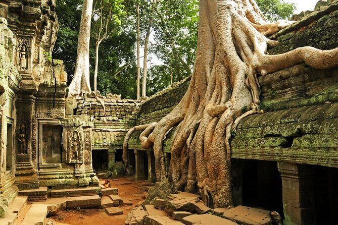 Angkor Wat full Day 'Small Group with sunset & Tour Guide - Stop 2: Banteay Kdei, the monk-cells ruin with tree roots in the walls