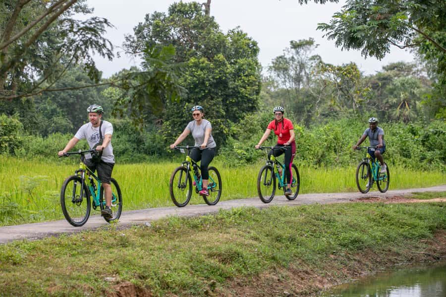 Angkor Wat: Guided Sunrise Bike Tour w/ Breakfast and Lunch - Breakfast and Lunch: Fuel That Actually Works for a Long Day