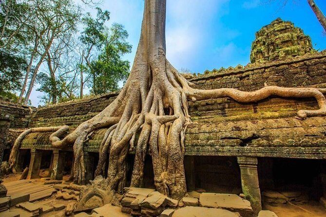 Angkor Wat one Day Private Tour for All Highlight Angkor Temples - Terrace of the Elephants and the Leper King: close-up carvings you’ll remember