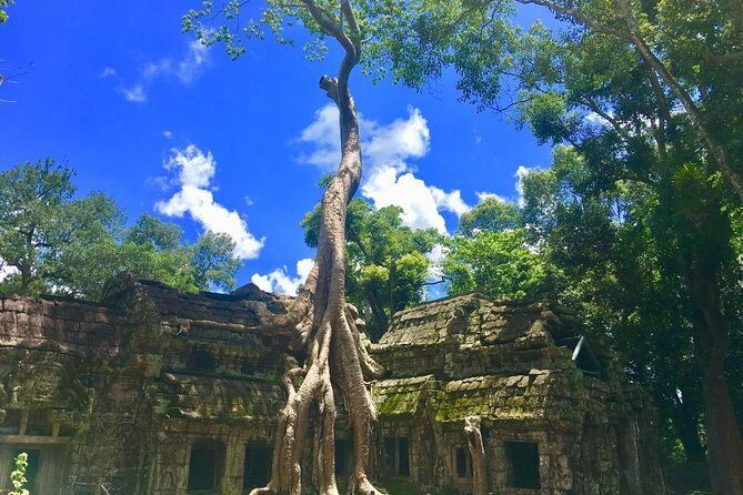 Angkor Wat one Day Private Tour for All Highlight Angkor Temples - Ta Nei and Ta Prohm: a late-12th century stop and the kingdom of trees