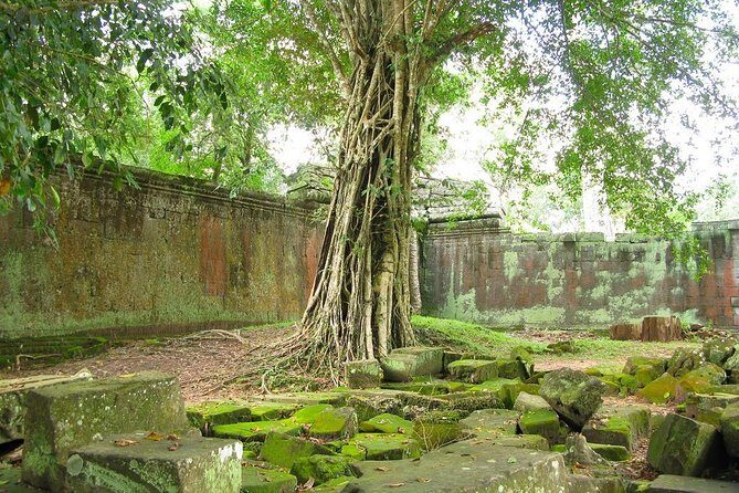 Angkor Wat Private Tour with English Speaking Driver, NO guide - Angkor Thom and Bayon (each around an hour): power, faces, and strong photo angles