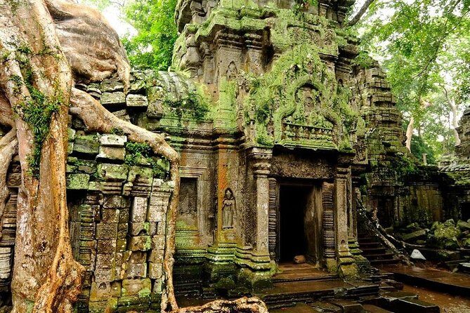 Angkor Wat Private Tour with English Speaking Driver, NO guide - Ta Prohm: tree roots, but the scheduled stop is very short