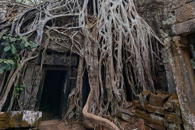 Angkor Wat Private Tuk-Tuk Tour (sunrise Option) & more - Bayon Temple: Smiling Faces and Shorter Stress