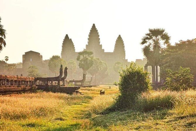 Angkor Wat Small-Group Exploration with Expert Guide - Ta Prohm: state of ruin, state of beauty, and mindful walking