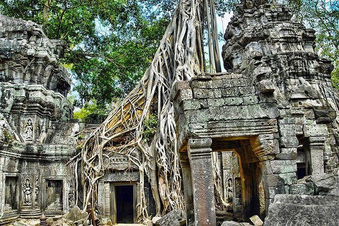 Angkor Wat Small-Group Exploration with Expert Guide - What your guide actually adds (and why the small group helps)