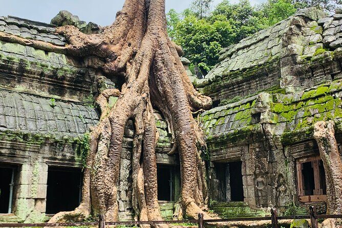 Angkor Wat Sunrise and Angkor Thom Sunset Tour - Who this sunrise-to-sunset Angkor tour is best for