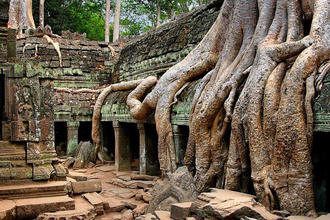 Angkor Wat Sunrise or Sunset Tour with Guide from Siem Reap - Ta Prohm jungle temple: the roots, the ruins, and the best photo rhythm
