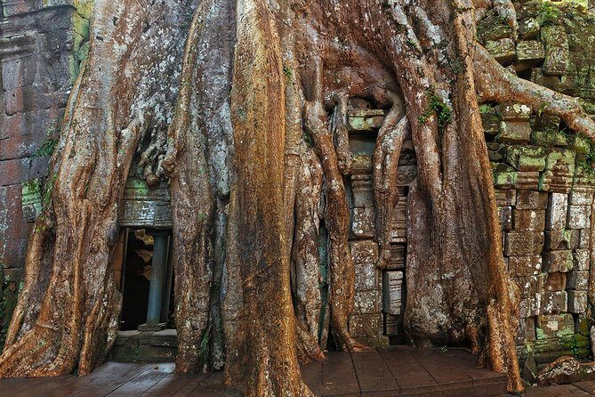 Angkor Wat Sunrise or Sunset Tour with Guide from Siem Reap - Comfort, walking, and the real pace of an 8-hour temple day