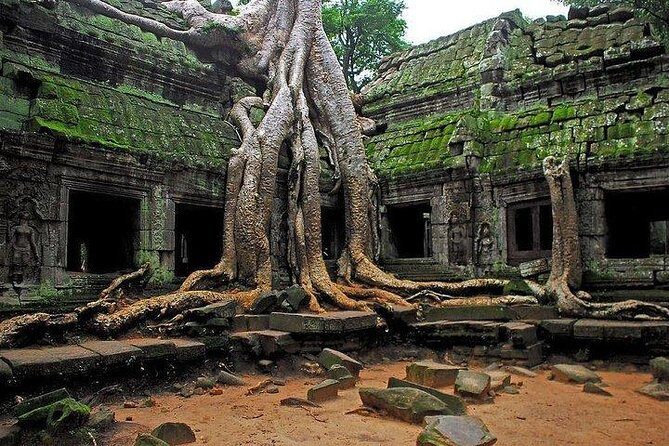 Angkor Wat Sunrise Tour - The guide is the real value: English explanations, stories, and photo help
