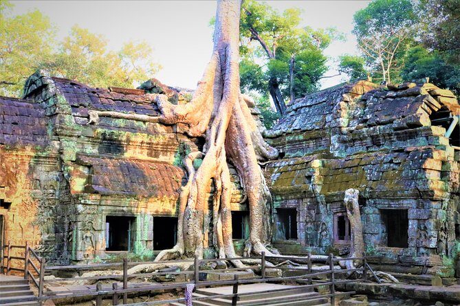 Angkor World Heritage with Sunrise - Small Group - Breakfast after sunrise: a breather that keeps the day enjoyable