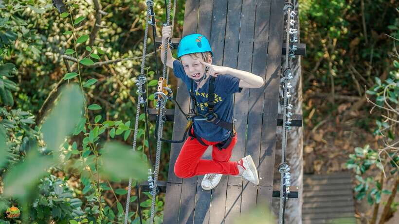 Angkor Zipline Eco-Adventure Canopy Tour - Soaring Over Angkor’s Rain Forest Canopy