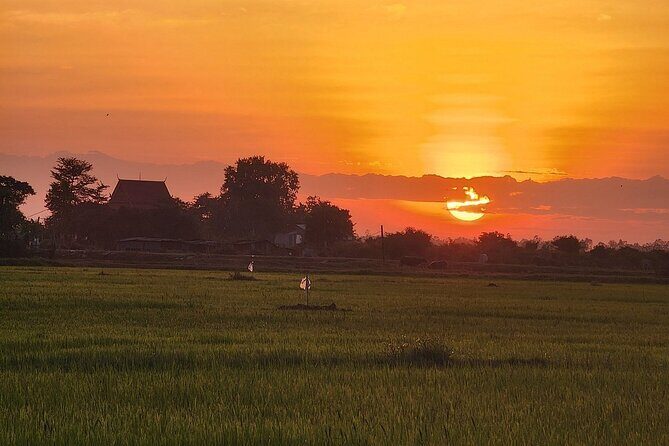 ATV Grand Sunset Tour - The sunset payoff: finding a remote viewpoint over rice fields