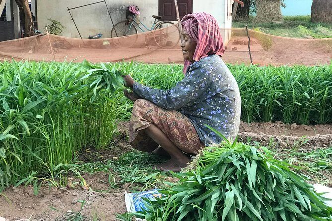 Authentic Cambodian Countryside Jeep Experience - Duck Fields and the Rural Livelihood Lesson