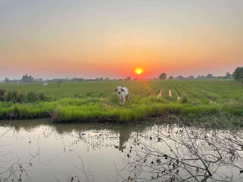 Battambang: Bamboo Train, Bat Cave and Killing Cave Tour - What to bring: the stuff that saves your afternoon