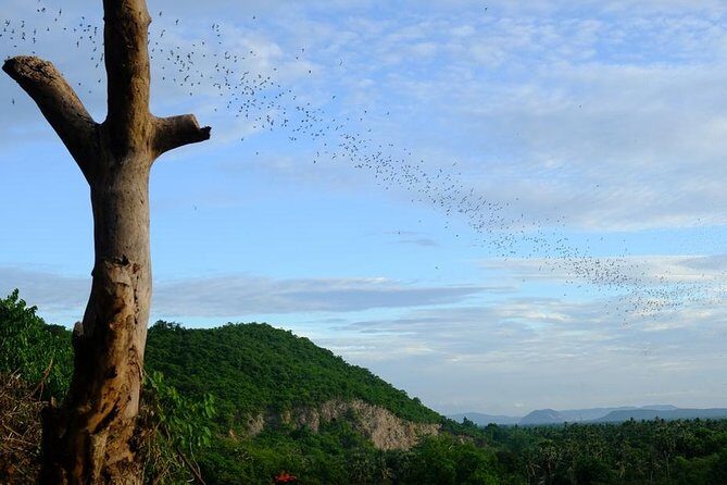 Battambang Full Day Tour from Siem Reap - Bamboo Train, Killing Cave & Sunset - Tuk-tuk touring in Battambang: more than just point-to-point