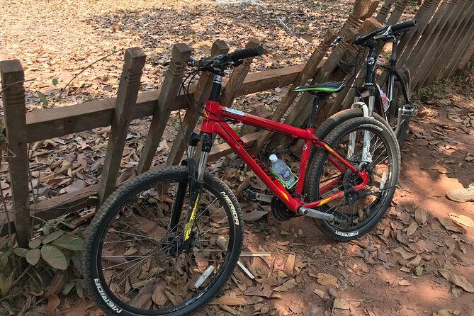 Biking Tour in Angkor Wat, Angkor Thom Ancient Capital, Ta Promh - Ta Prohm: Tree-Root Photos and the Ruins That Feel Alive