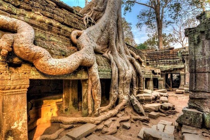 Cambodia Highlight 6 Days Tour from Siem Reap to Phnom Penh - Day 5: Phnom Penh’s royal side—palaces, pagodas, and monuments