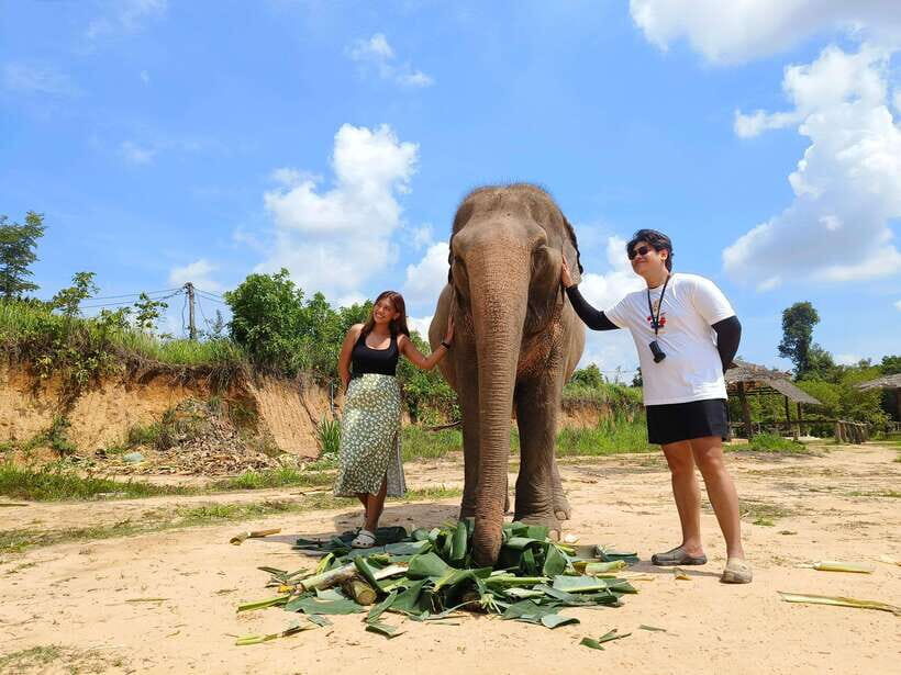 Elephant Sanctuary Cambodia, Pickup and drop off included - Feeding Handmade Snacks: The Best Kind of Up-Close