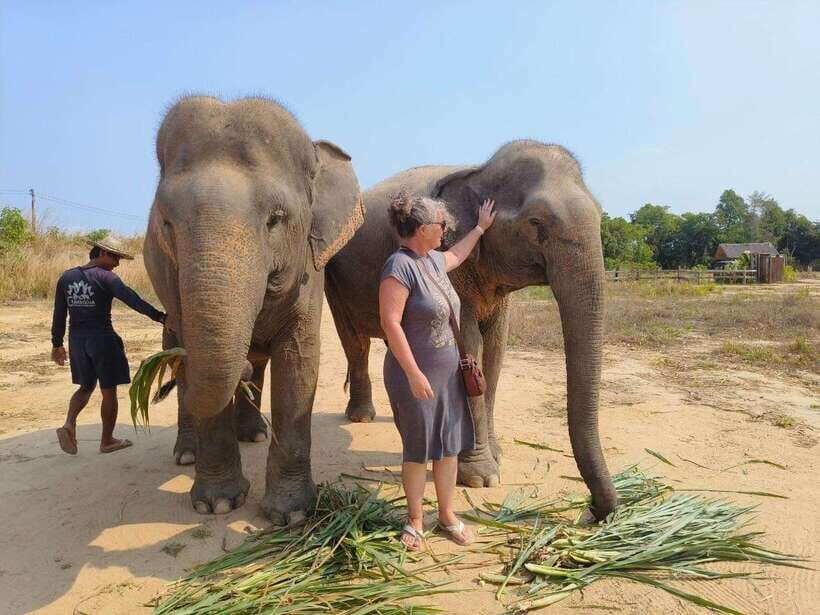 Elephant Sanctuary Cambodia, Pickup and drop off included - Refreshments and the Gentle Exit Back to Siem Reap