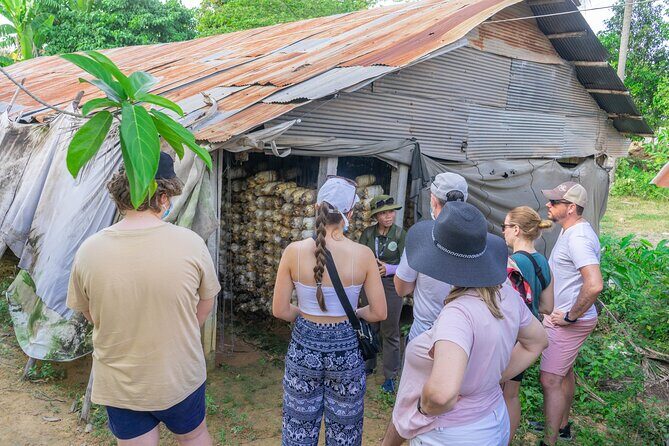 Floating Village Sunset Boat & Jeep Tour - Inclusive Drinks - Why a Tonle Sap sunset beats another Siem Reap afternoon