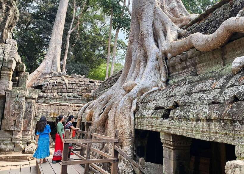 From Phnom Penh: Angkor Wat, Bayon, and Ta Prohm Day Trip - Ta Prohm: the Tomb Raider temple, jungle shadows, and the reality of unrestored ruins