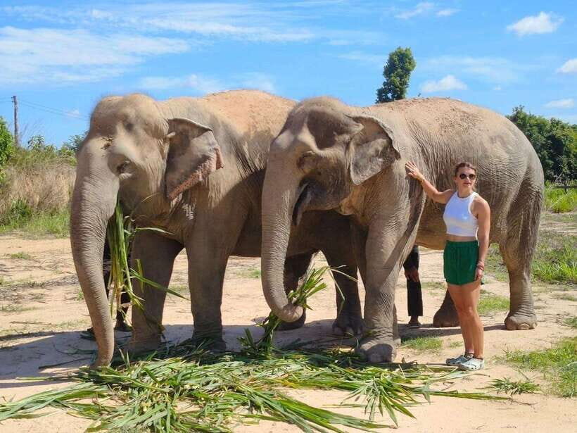 From Siem Reap: Elephant Sanctuary Experience with Transfers - Key highlights worth your attention