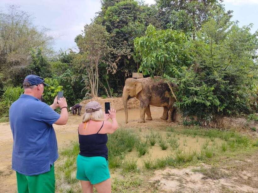 From Siem Reap: Elephant Sanctuary Experience with Transfers - Siem Reap to the Sanctuary: The transfer part that sets the tone