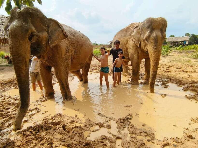 From Siem Reap: Elephant Sanctuary Experience with Transfers - Hands-on snack prep: what feeding feels like (and why it’s valuable)