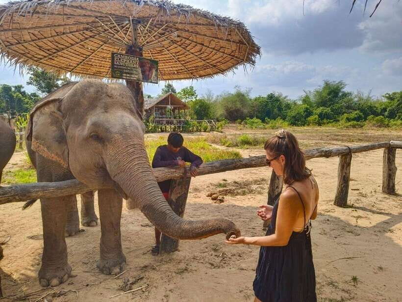 From Siem Reap: Elephant Sanctuary Experience with Transfers - Forest trekking between elephant moments