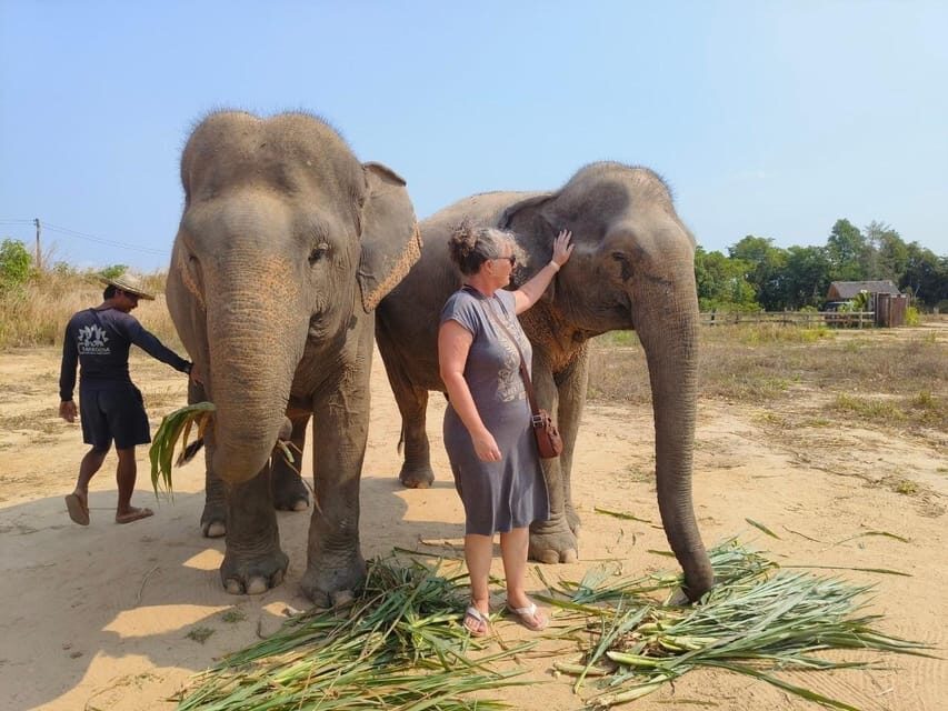 From Siem Reap: Elephant Sanctuary Experience with Transfers - What you’re really paying for: value of this $69 price
