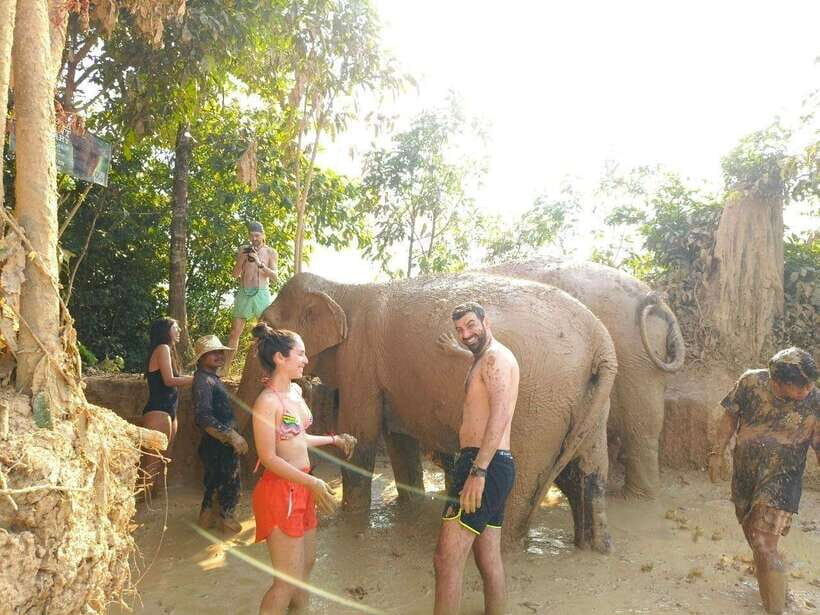 From Siem Reap: Elephant Sanctuary Experience with Transfers - The elephants’ home: meeting the three rescued residents