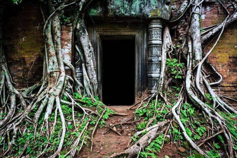 From Siem Reap: Koh Ker and Beng Mealea Temples Tour - The quiet highlight: Prasat Pram and the tree growing through the temple