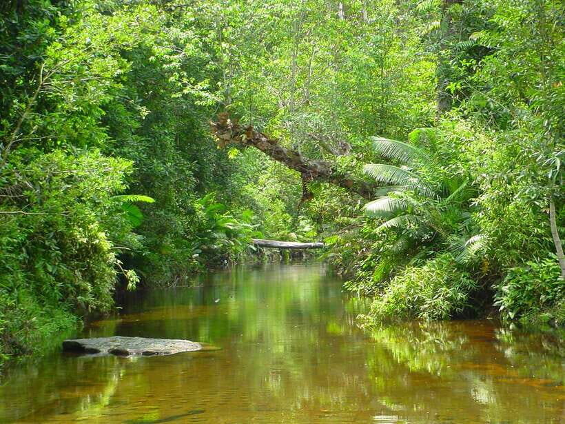 From Siem Reap: Small-Group Phnom Kulen Waterfall Day Tour - Who Should Book This Phnom Kulen Waterfall Tour