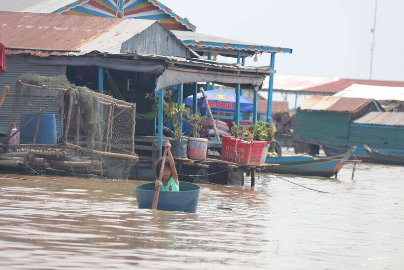 From Siem Reap: Tonle Sap Floating Village Tour - Crocodile and Fish Farm Stop (When Water Levels Let You Go)