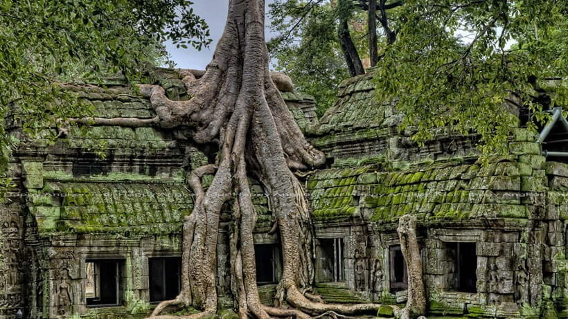 Full-Day Angkor Wat Sunrise and Sunset Private Tour - Breakfast break: the value of not skipping the reset